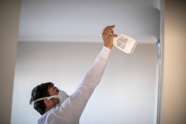 Office Mold Removal Services in West Branch, IA