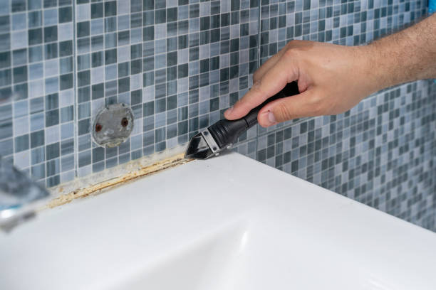 Best Toxic Mold Removal  in West Branch, IA